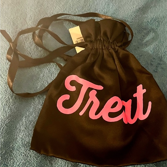 VS PINK SET OF (4) - Picture 3 of 11